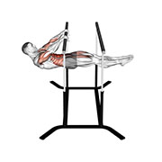 Ejercicio Front Lever Sostenida