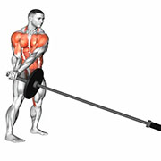 Ejercicio Landmine 180