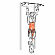 Ejercicio Levantamiento de Piernas en Barra