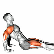 Ejercicio Plancha Inversa