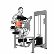 Ejercicio Abdominal Corto (Máquina)