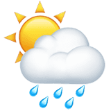 🌦️
