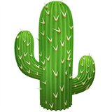 🌵