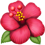 🌺