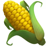 ear of corn