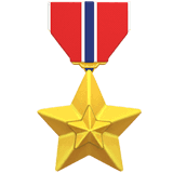 đī¸