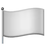 đŗī¸