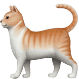 🐈