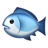 🐟