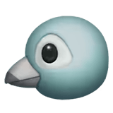 🐦