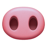 🐽