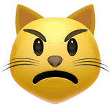 πΎ