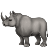 🦏