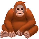 ๐ฆง