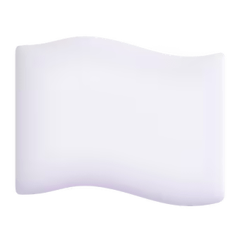 đŗī¸