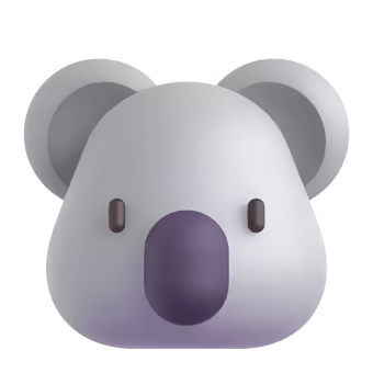 🐨