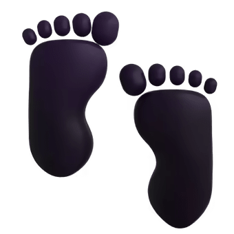 👣