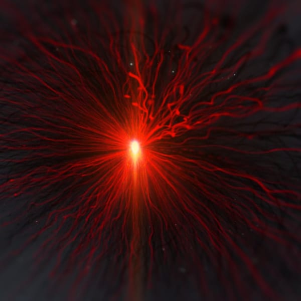 The Lucifer Rebellion