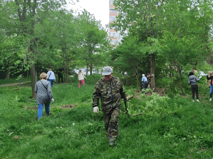 Итоги общегородского субботника: убрано около 1700 кубометров мусора и удалено более 2500 рекламных объявлений