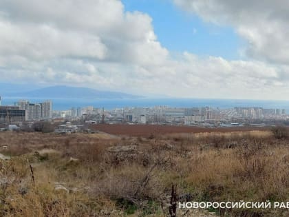 Новые требования к владельцам участков в городе