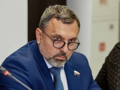 Депутат Госдумы Дмитрий Лоцманов обратился к руководству «Чистой станицы»