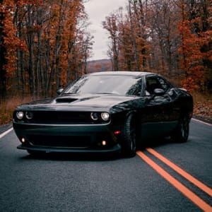 Dodge