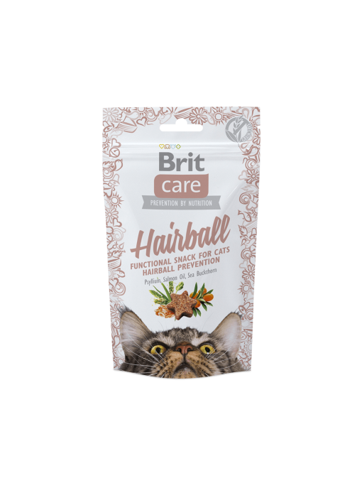 recompense pisici brit care hairball catelulgras