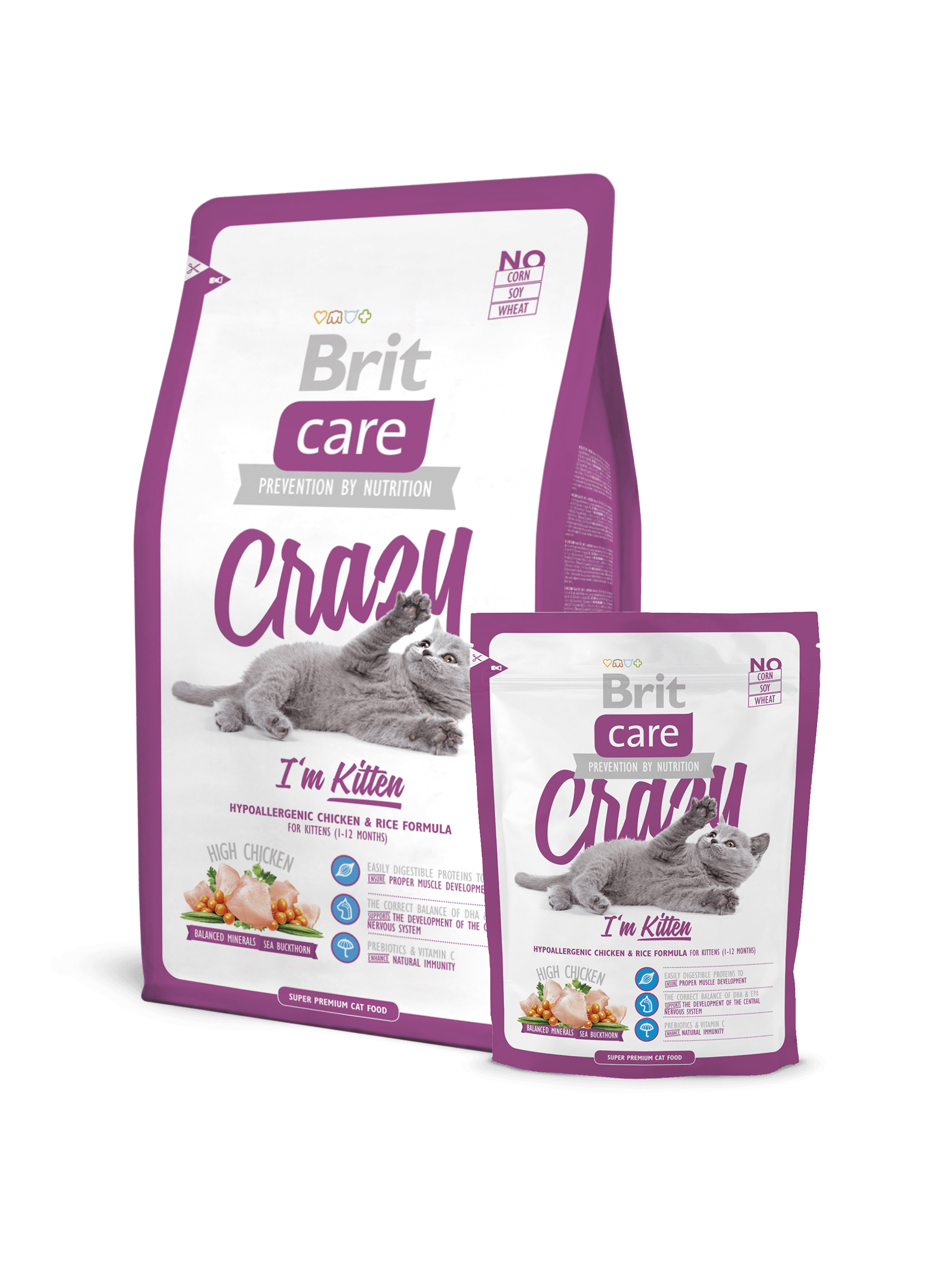 Брит класс. Сухой корм Brit Care Cat. Brit Care корм для котят. Корм Brit суперпремиум для кошек. Brit Care Kitten Chicken сухой корм.