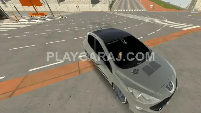 Peugeot 207 takas lik