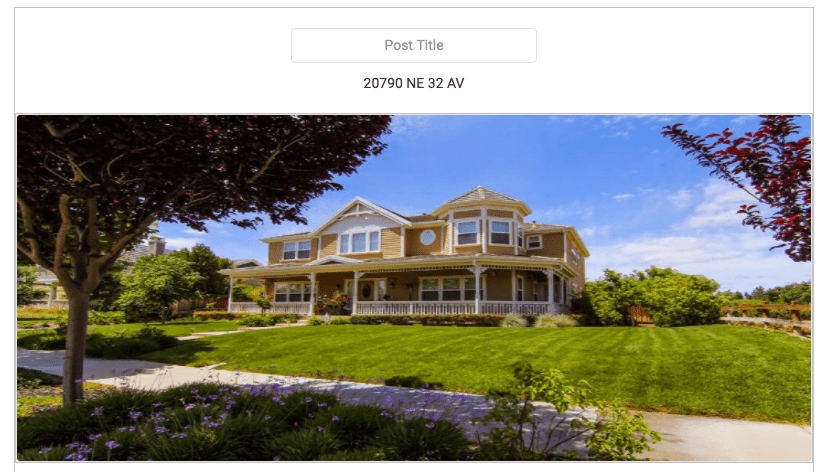 Selected image in the post preview