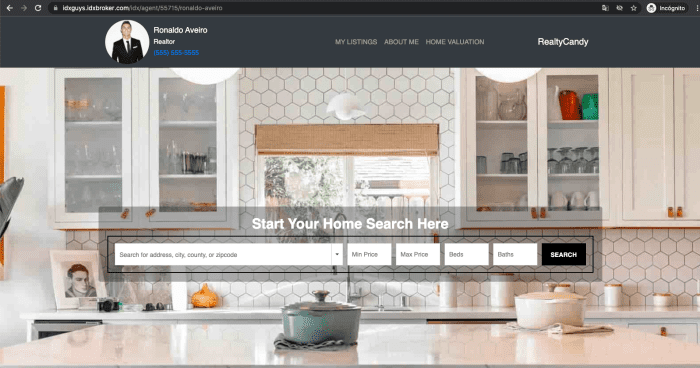 Excellent Agent About