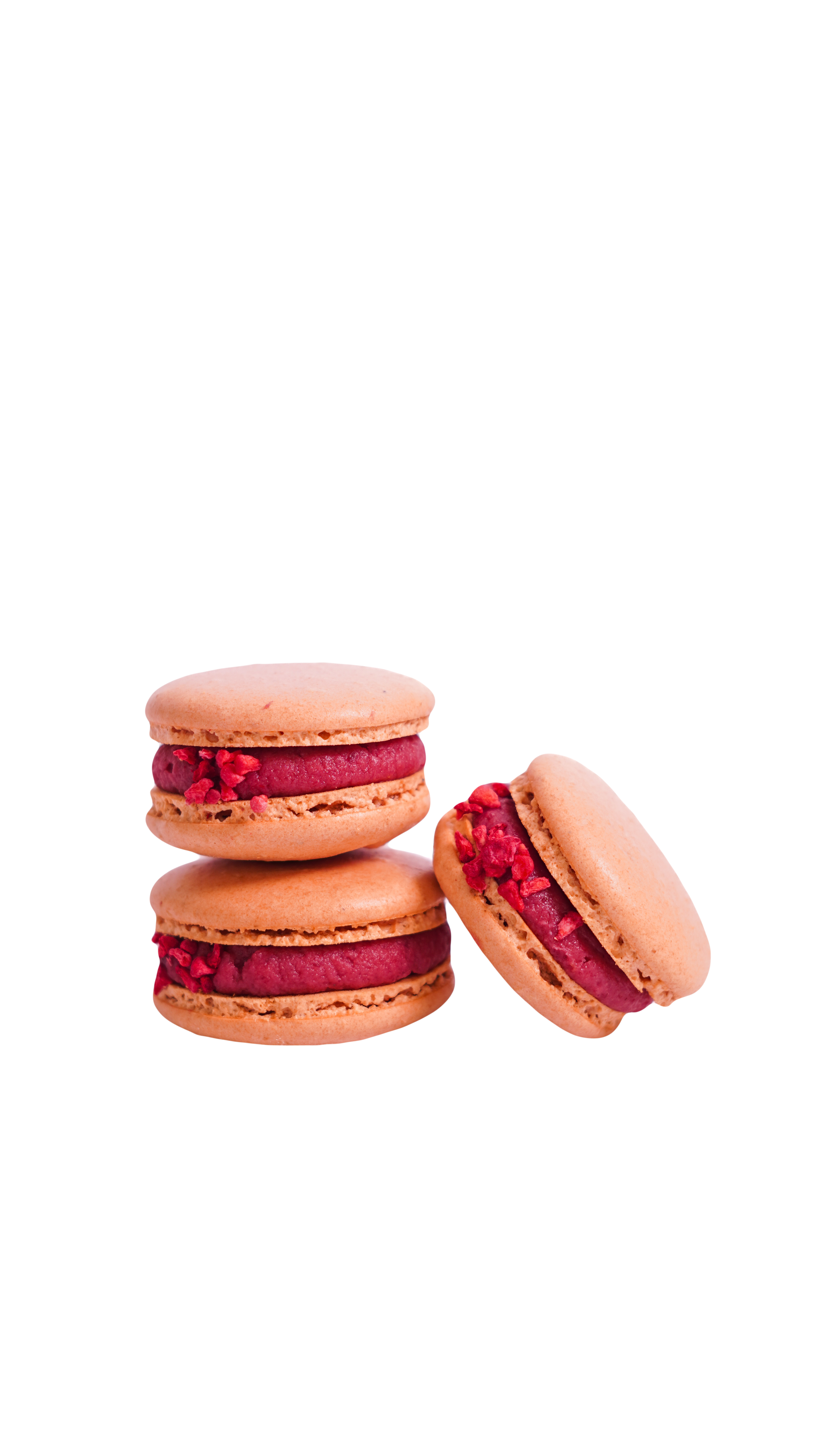 Wholesale vegan macarons