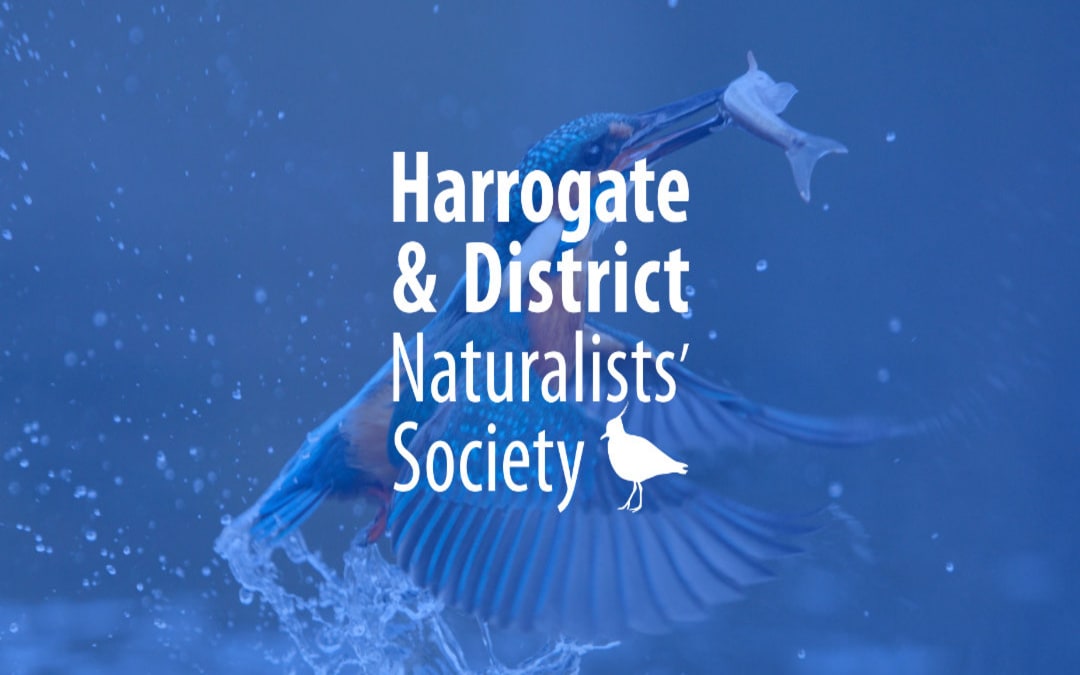 Harrogate & District Naturalists’ Society