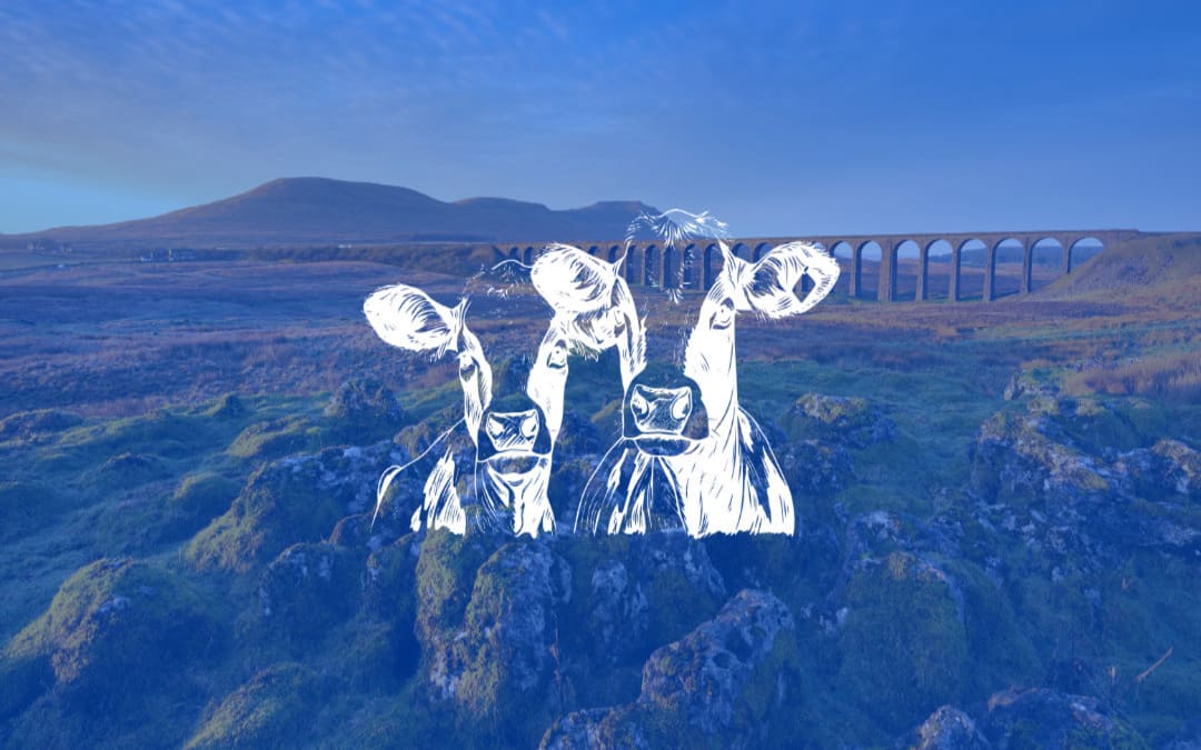 Lundholme Farm Cottages, Ingleton