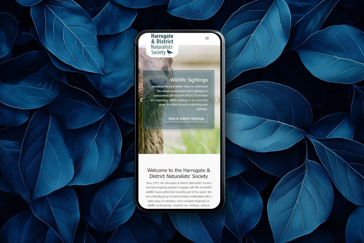 Website Design for Harrogate Charity