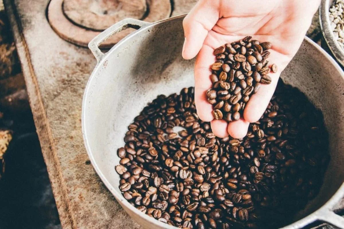 Coffee – The Miracle Bean