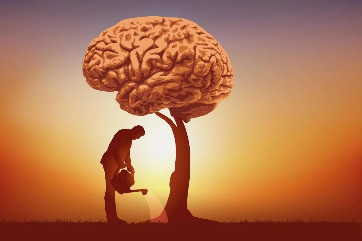 India Without Wisdom: Society, Politics, and the Need for Change
