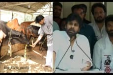 "Pawan Kalyan’s Bold Declaration: Prove the Charges, Take the Land"