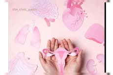 The Silent Impact of the Menstrual Cycle on Heart Function and Recovery