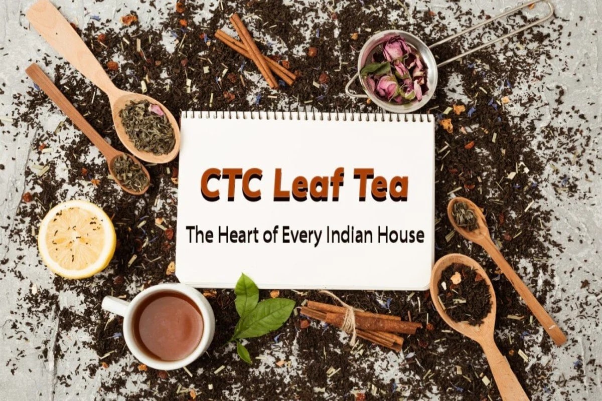 CTC Tea: India’s Bold Brew with Timeless Charm