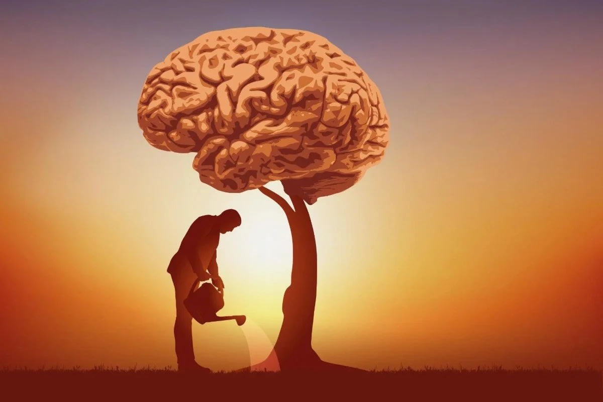 India Without Wisdom: Society, Politics, and the Need for Change