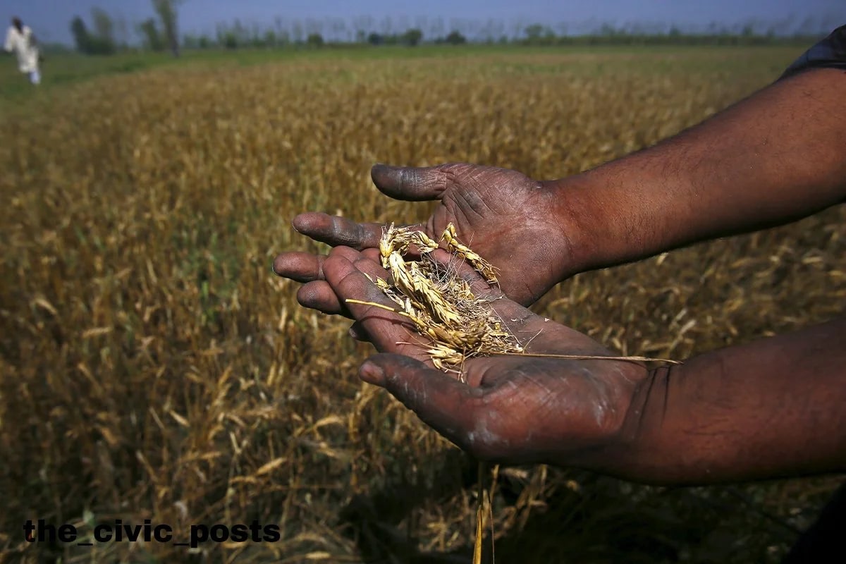 Unseasonal Rains Damage Crops Across Andhra Pradesh, Farmers Face Losses