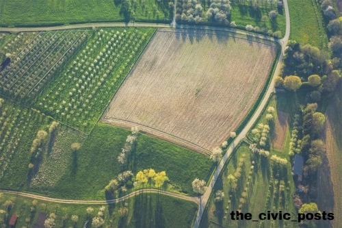 Telangana Charts New Path with 61,000 Acres Shift to Natural Farming