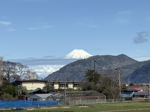 Shizouka