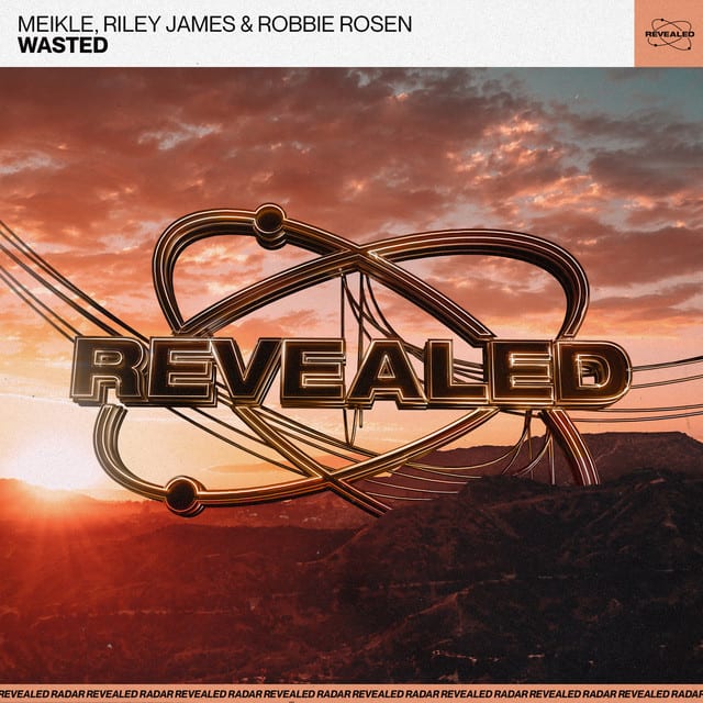 Meikle, Riley James, Robbie Rosen - Wasted