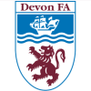 Devon County Football Association