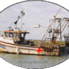 Gladwell Oyster Growers Ltd