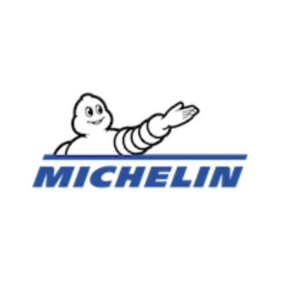 Michelin Development 