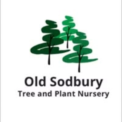 Old Sodbury Trees and Plant Nursery