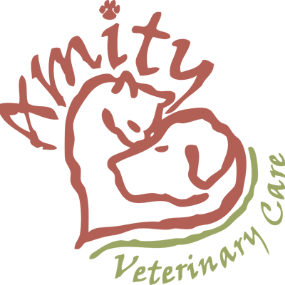 Amity Veterinary Care/ Lennon Foo